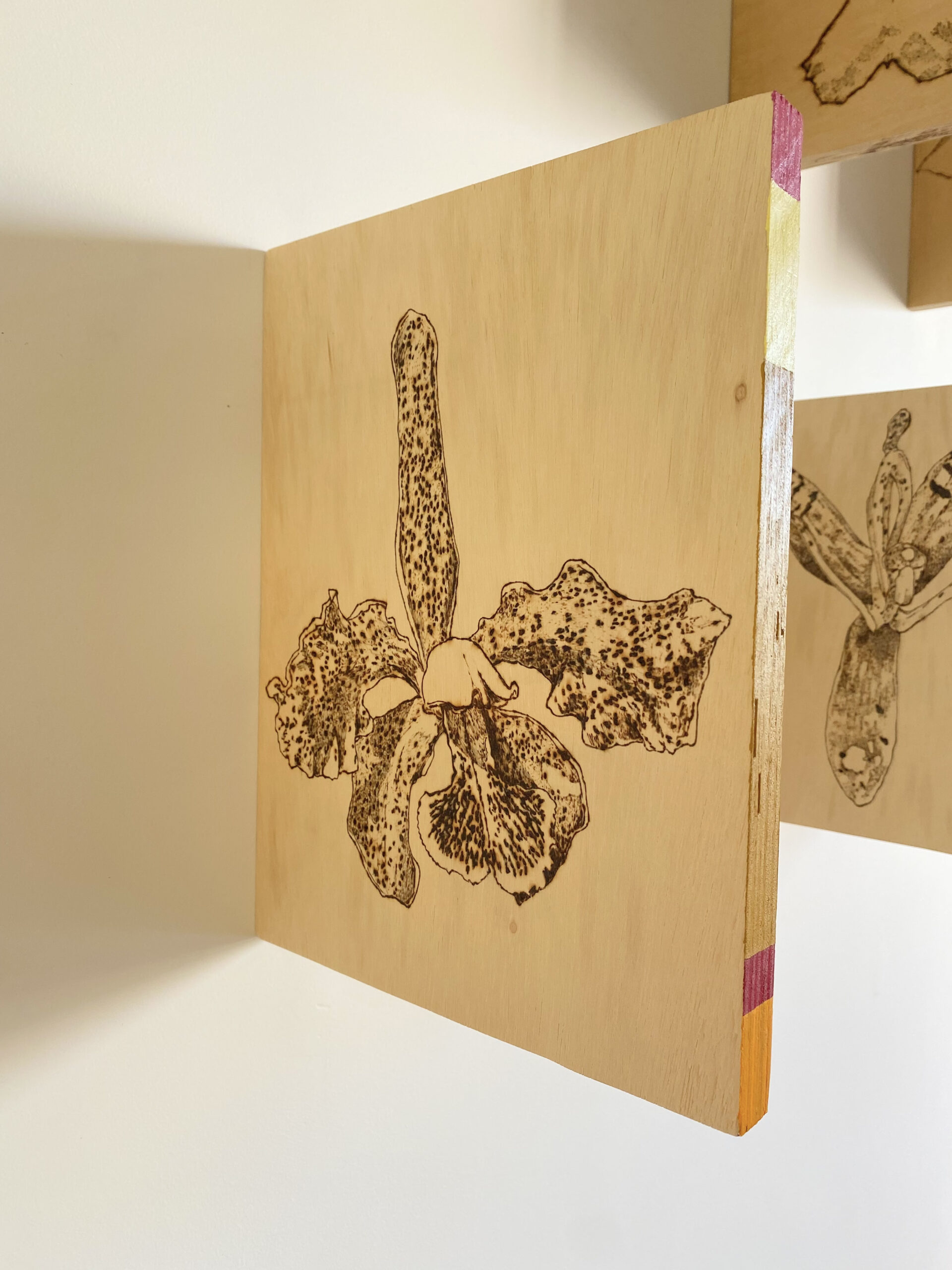 lista vermelha (ciclo flores/cores quase extintas), 2021 - pirogravura e tinta acrílica sobre compensado - 120x163cm - políptico - Imagem 2