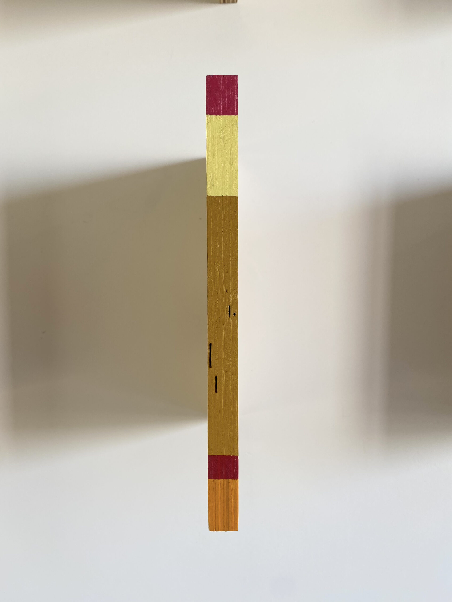 lista vermelha (ciclo flores/cores quase extintas), 2021 - pirogravura e tinta acrílica sobre compensado - 120x163cm - políptico - Imagem 3