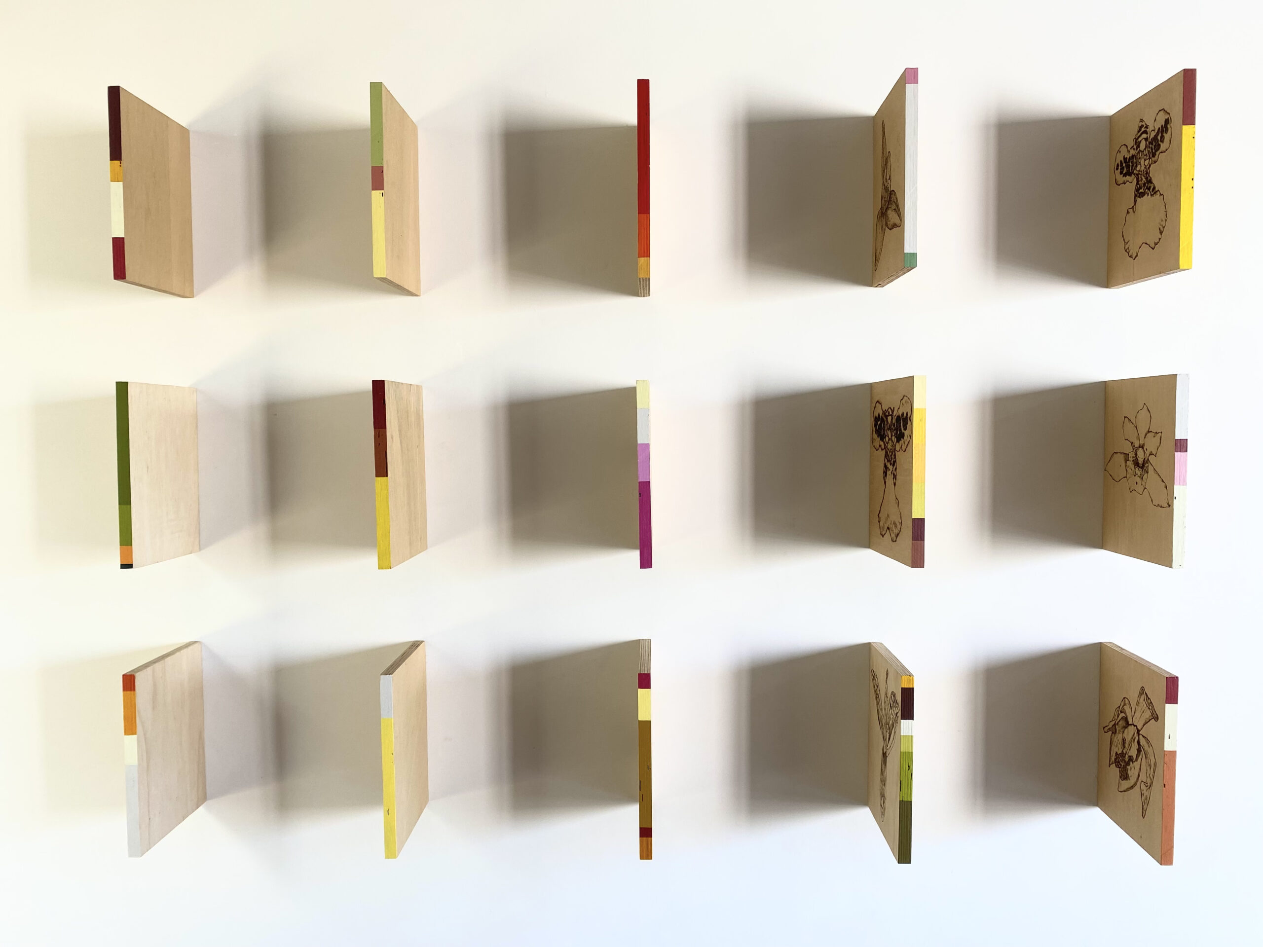 lista vermelha (ciclo flores/cores quase extintas), 2021 - pirogravura e tinta acrílica sobre compensado - 120x163cm - políptico - Imagem 4