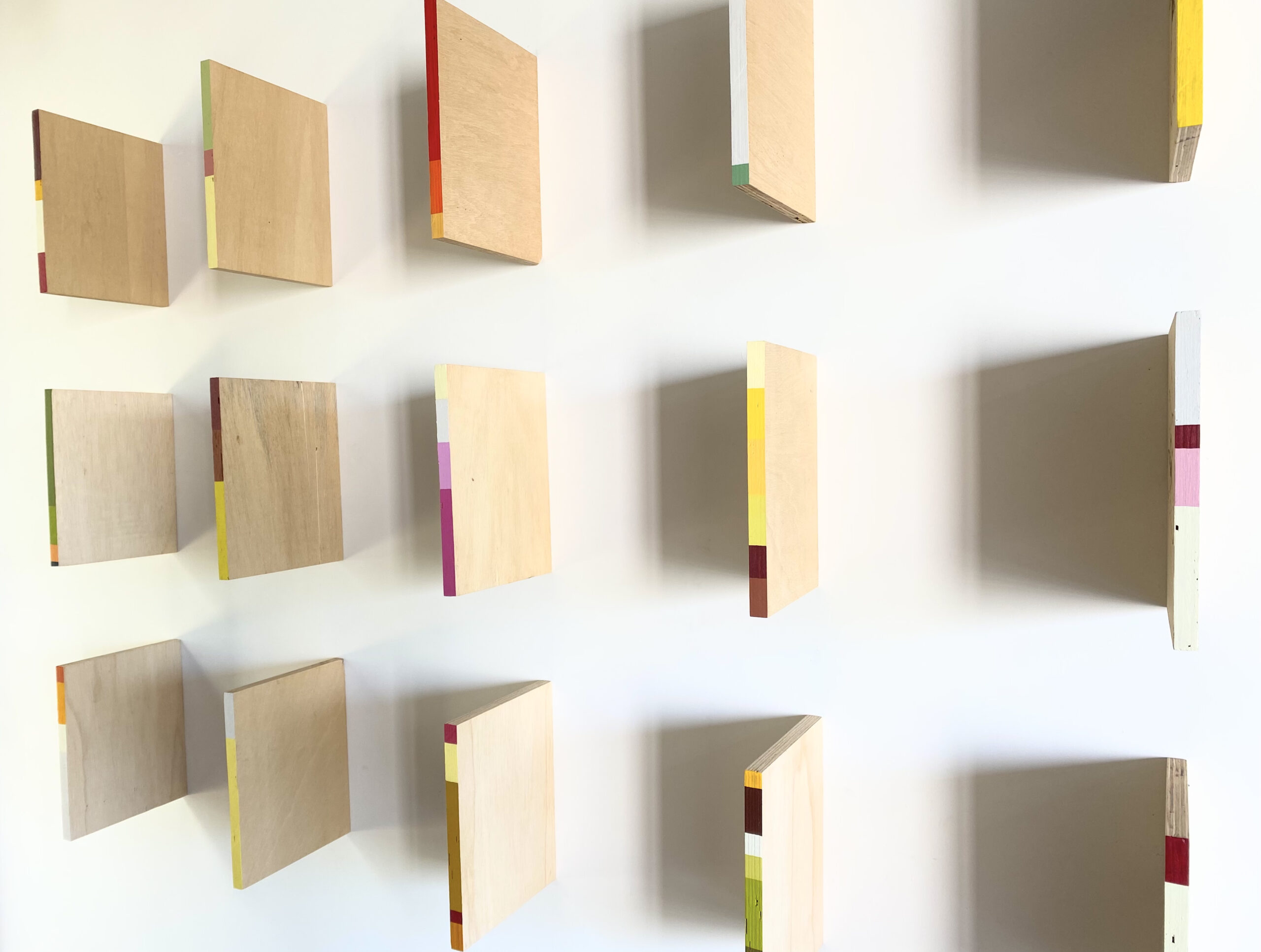 lista vermelha (ciclo flores/cores quase extintas), 2021 - pirogravura e tinta acrílica sobre compensado - 120x163cm - políptico - Imagem 5